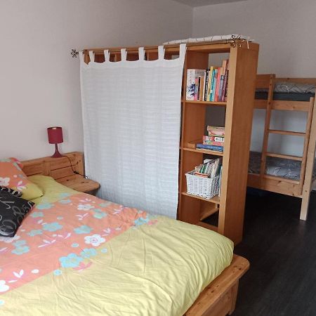 Vitre Centre Ville Bel Appartement A Decouvrir Luaran gambar